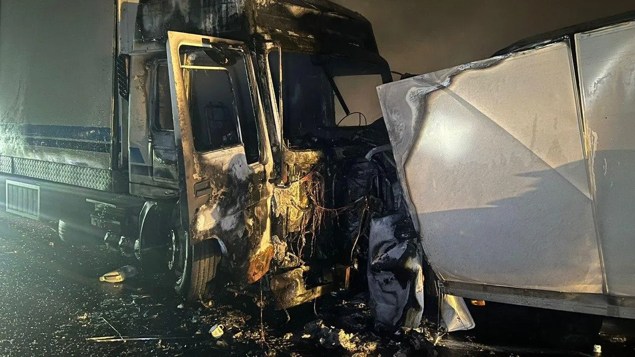 МВД Московской области / Telegram-канал