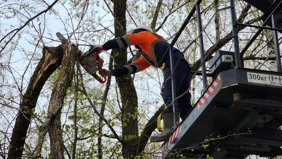 Фото: REGIONS/Екатерина Данилина