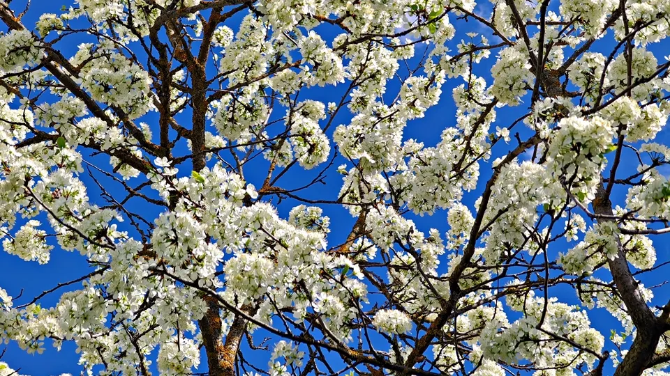 Фото: REGIONS/Алексей Селиверстов