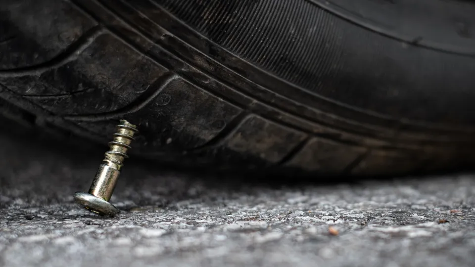 Фото: istockphoto.com/Thicha studio