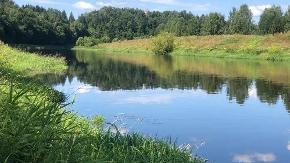 Фото: Министерство экологии и природопользования Московской области