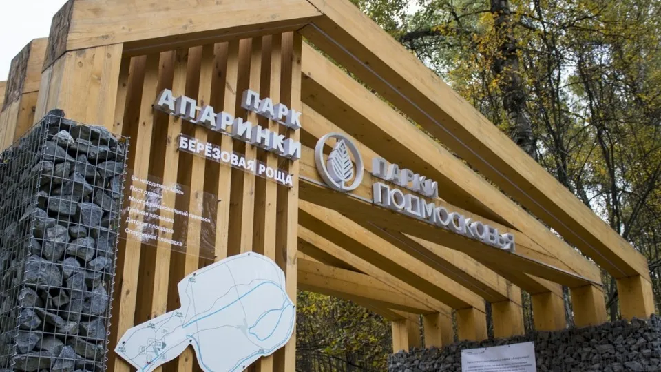 Фото: МБУ «Парк культуры и отдыха г. Видное»
