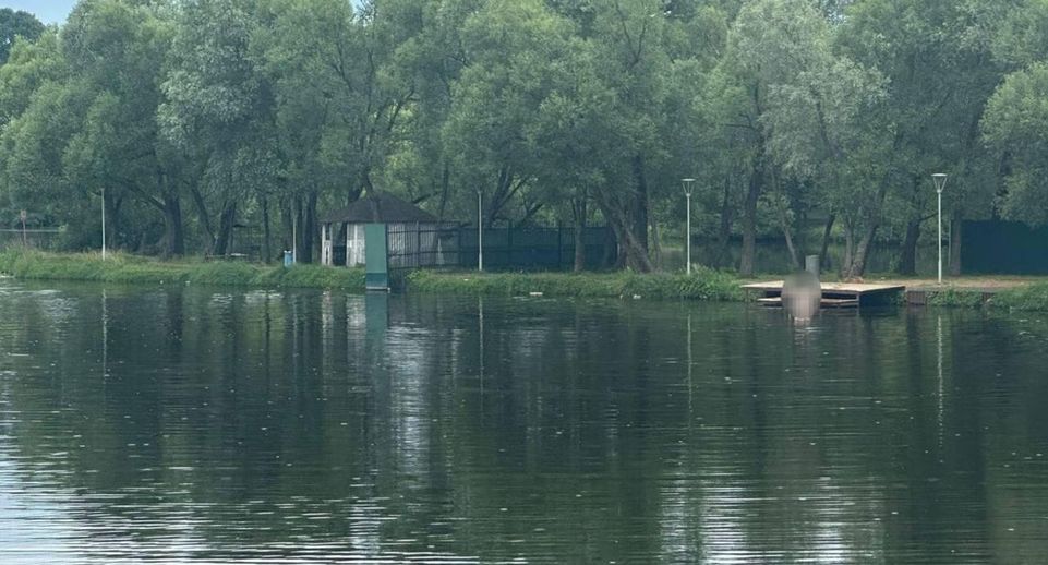 Прокуратура Москвы начала проверку после гибели 12-летней девочки в Десне