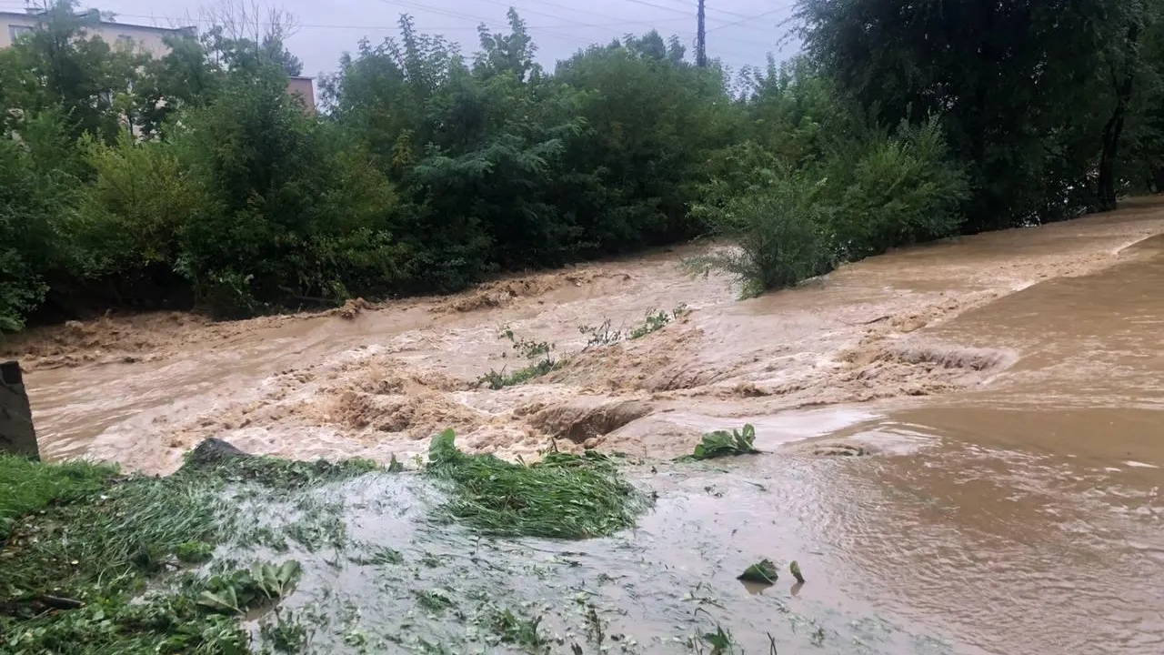 Прокуратура Приморского края