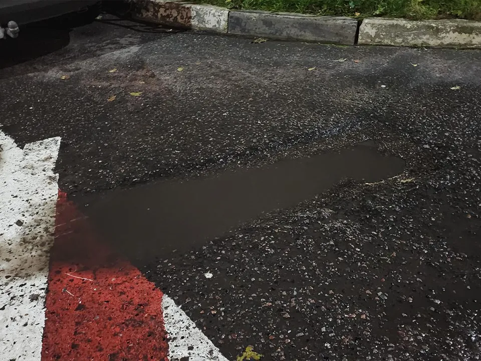 Фото: МедиаБанк Подмосковья/Михаил Раскин