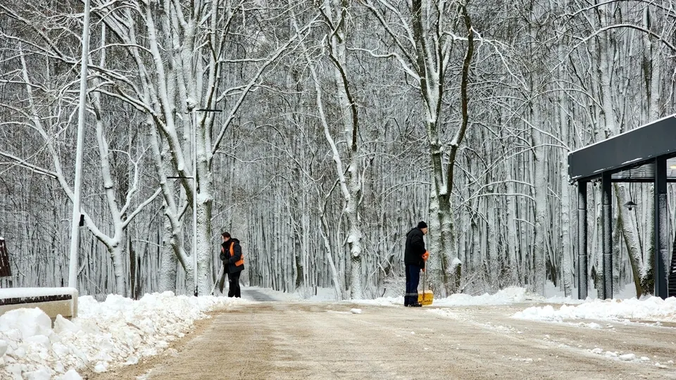 Фото: REGIONS/Мария Панина