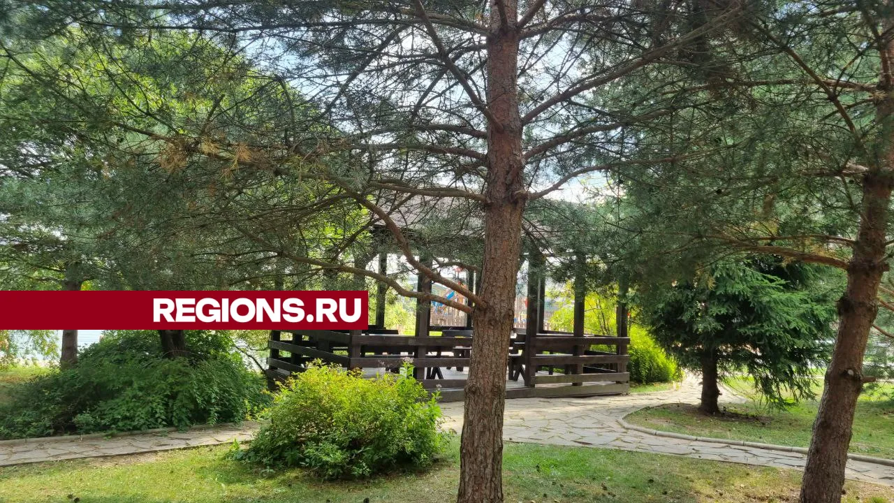 Фото: REGIONS/Ольга Ковалева