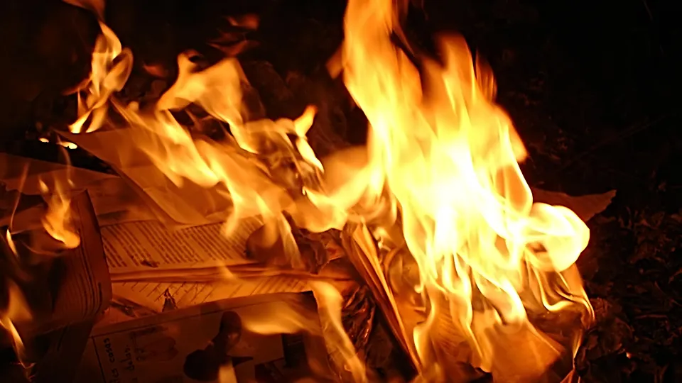 Фото: istockphoto.com/rac7