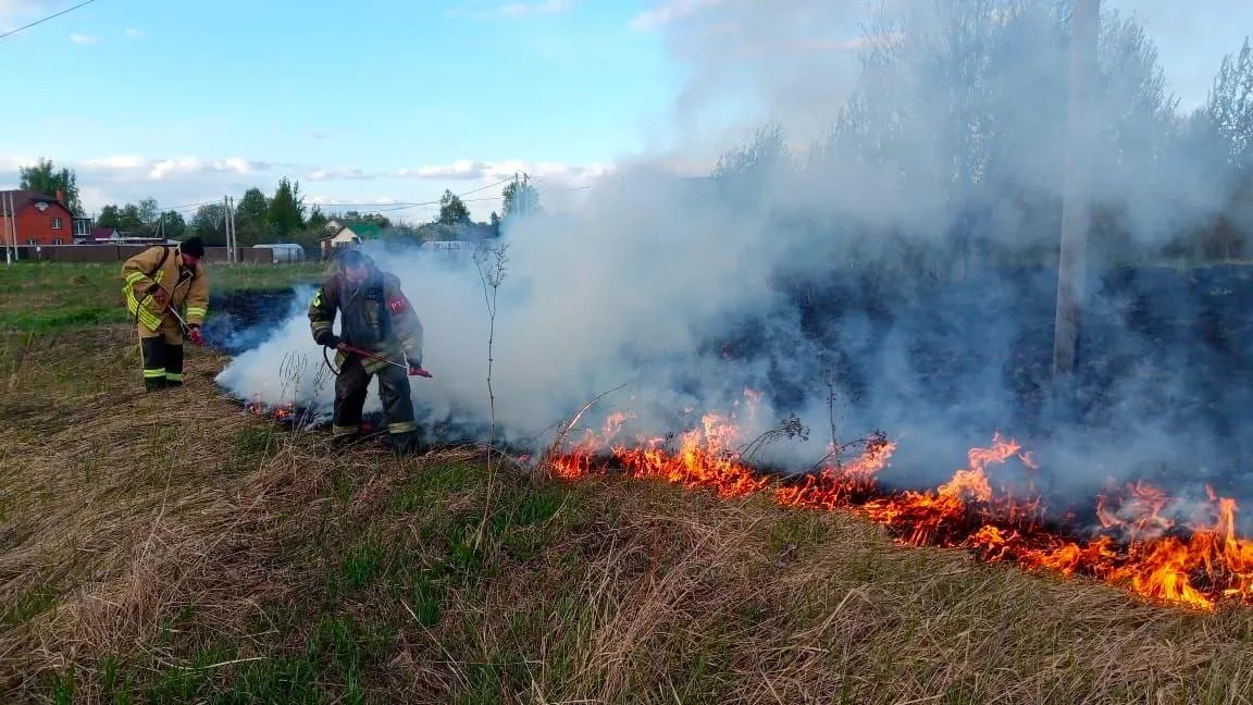 фото: ГКУ МО «Мособлпожспас»