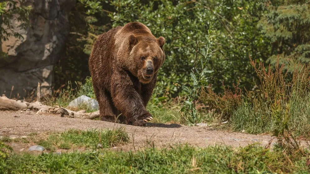 Фото: freepik.com