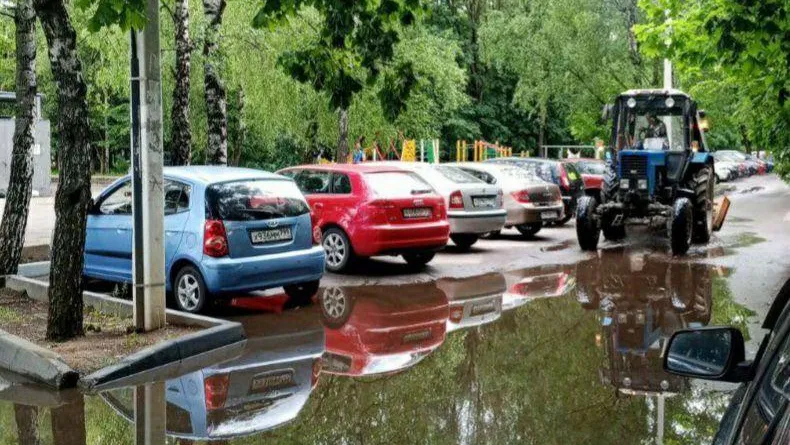 Фото: пресс-служба администрации городского округа Истра