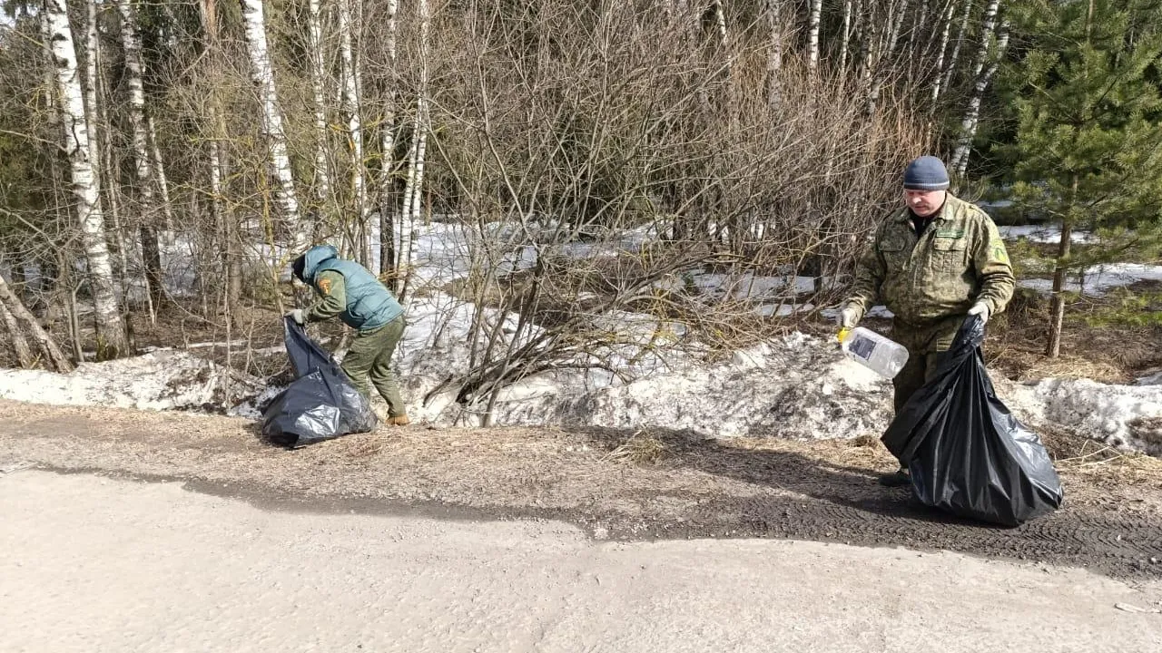 Фото: Комитет лесного хозяйства МО