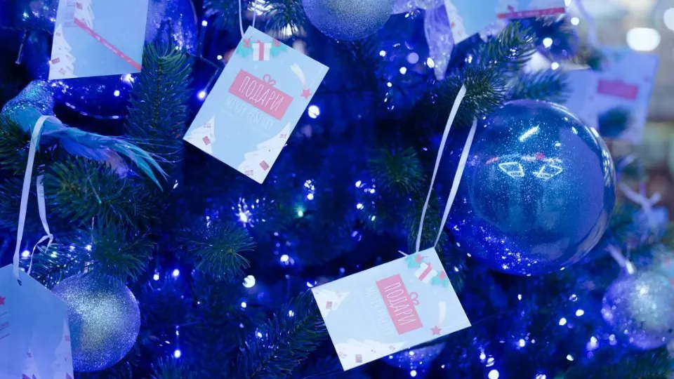 Фото: пресс-служба администрации г. о. Домодедово