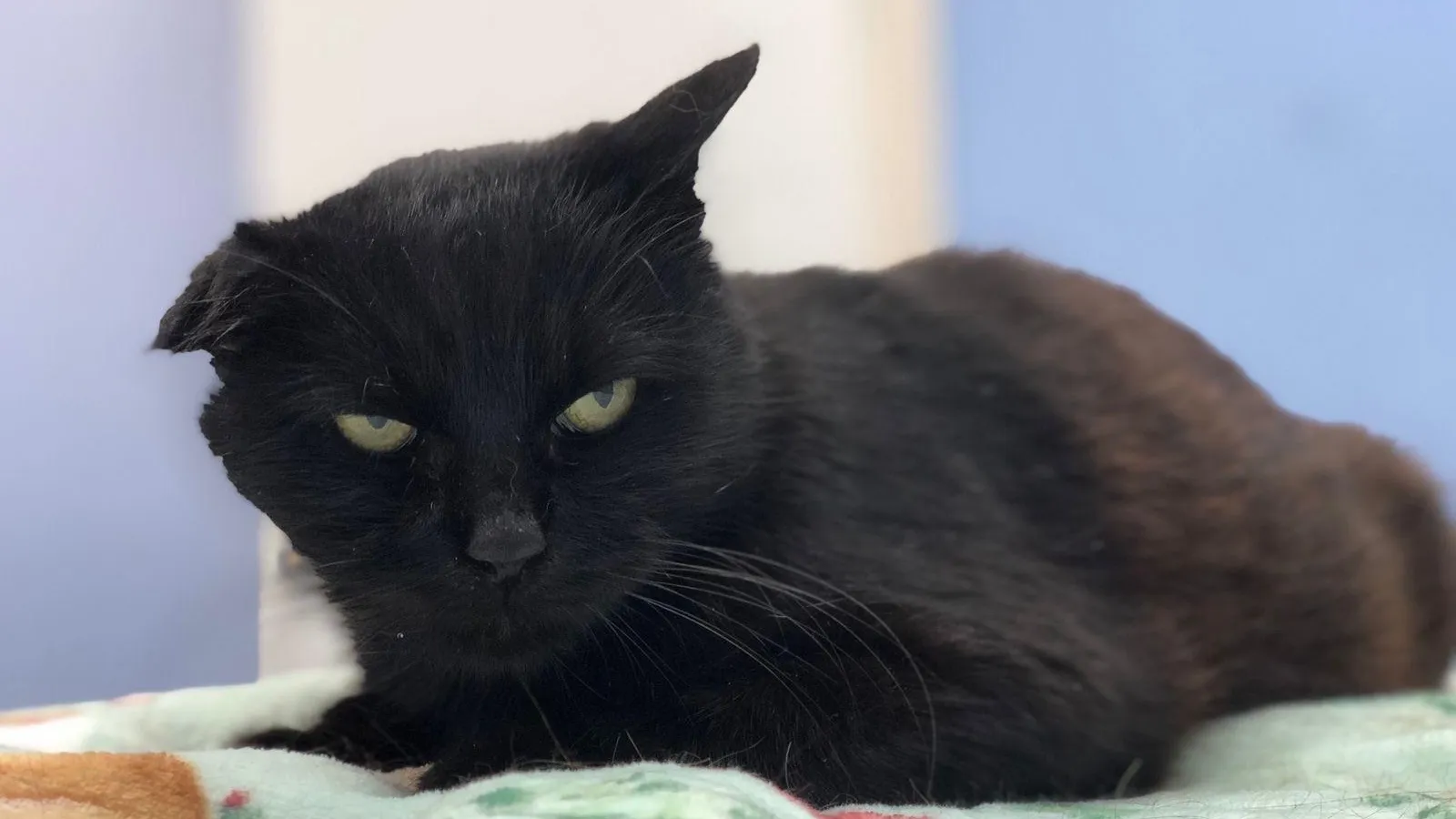 Фото: Татьяна М. / ВКонтакте