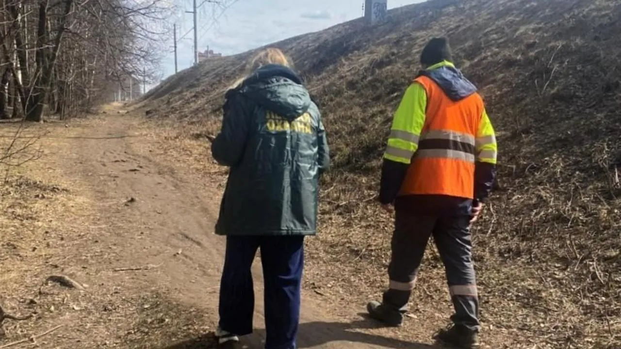 В Подмосковье начали проверять лесные участки, прилегающие к железной дороге
