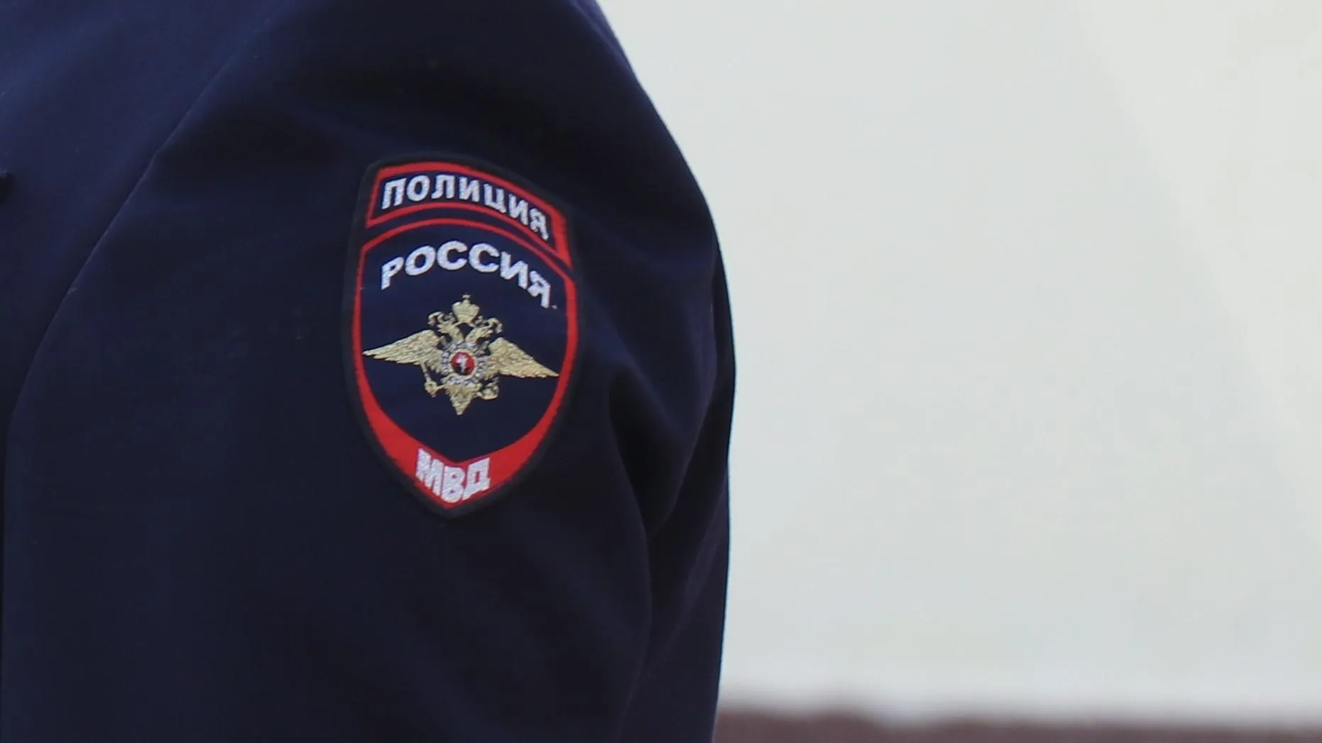 Фото: Василий Тремасов