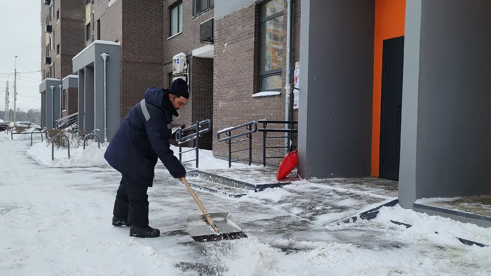 Фото: МедиаБанк Подмосковья/Валерия Тингаева