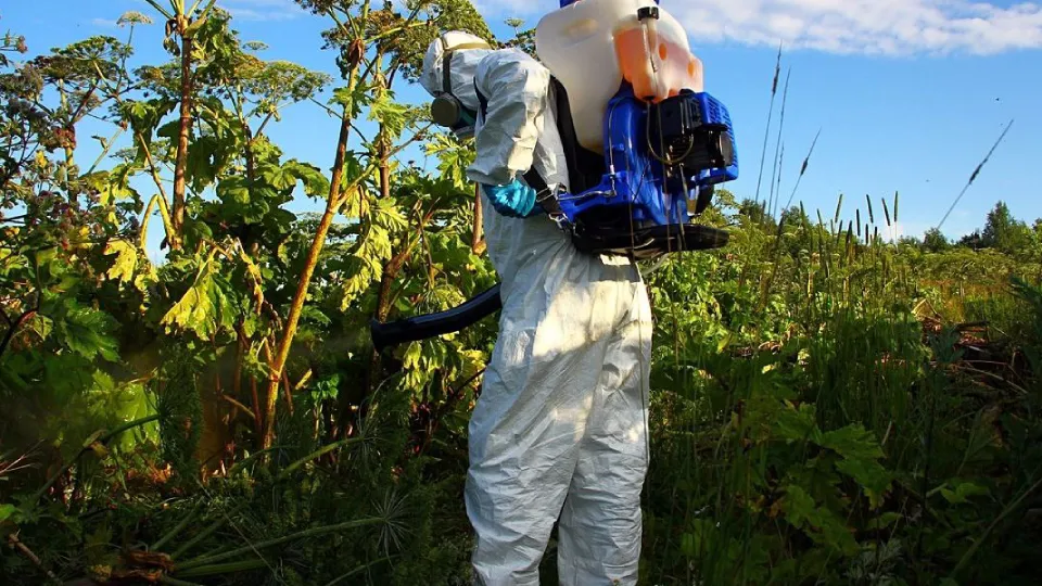 Фото: администрация городского округа Клин