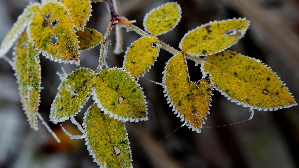 Фото: freepik.com