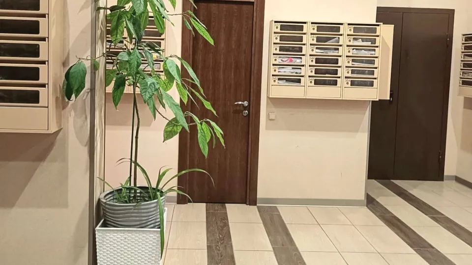 Фото: пресс-служба администрации г.о.Котельники