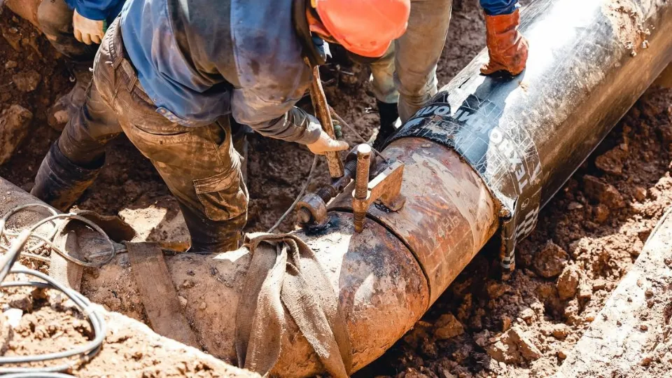 Фото: пресс-служба администрации г.о. Химки