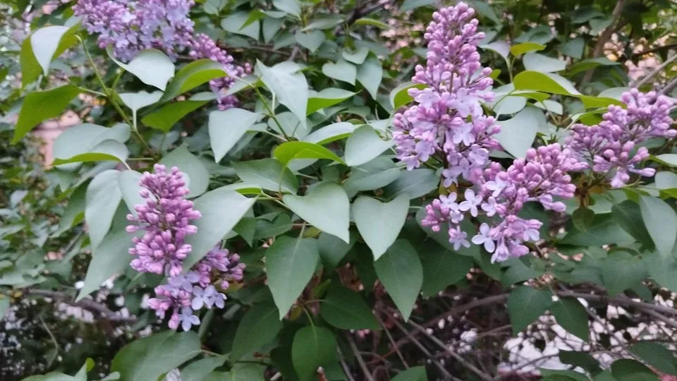 Фото: REGIONS/Юлия Куделькина