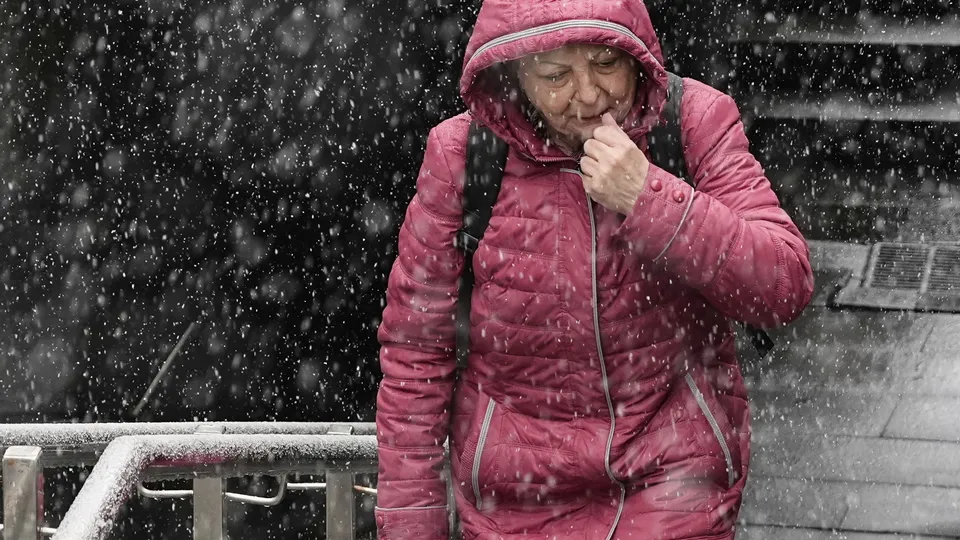 Фото: TASS/AP/Alexander Zemlianichenko