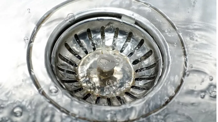 фото Freepik.com