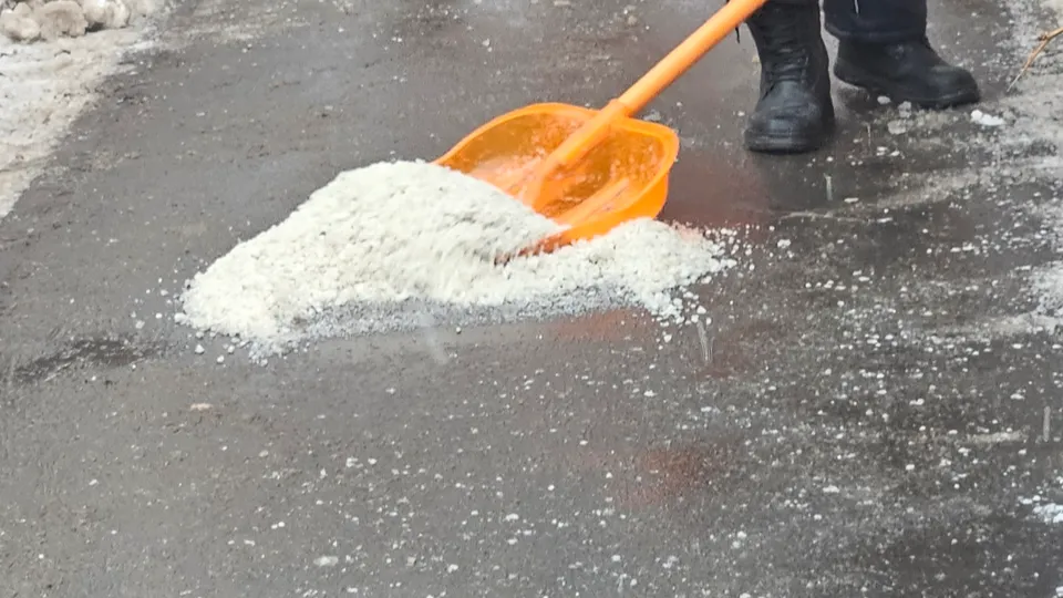 Фото: МедиаБанк Подмосковья/Ольга Вельшикаева