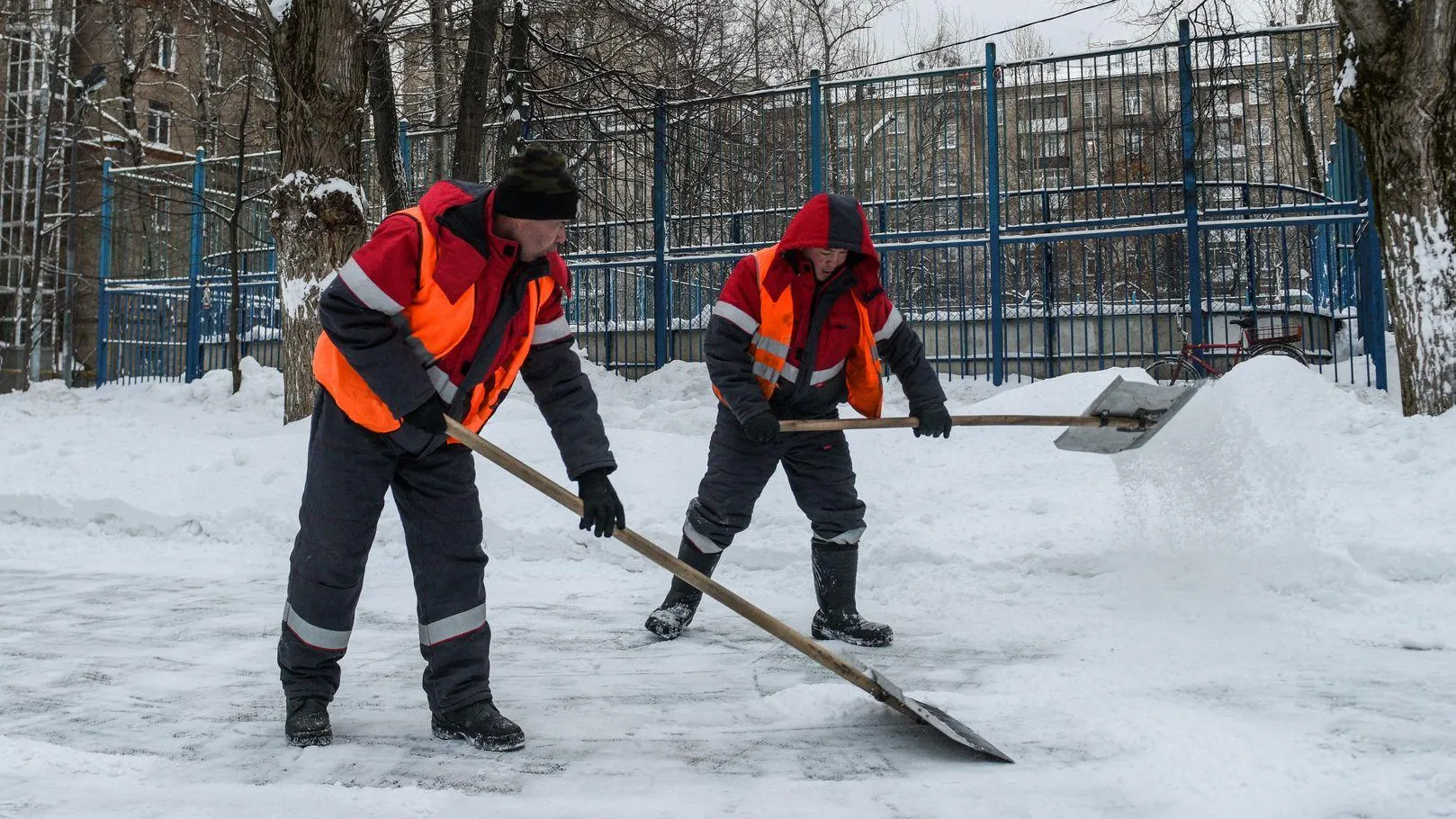 Фото: медиасток.рф