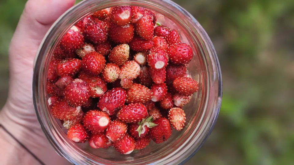 Фото: МедиаБанк Подмосковья/Анастасия Хренкова