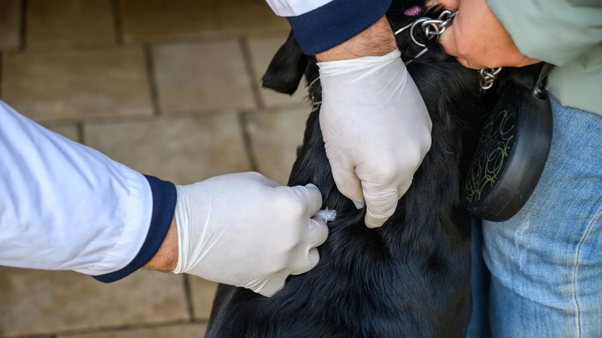 Медиасток.РФ