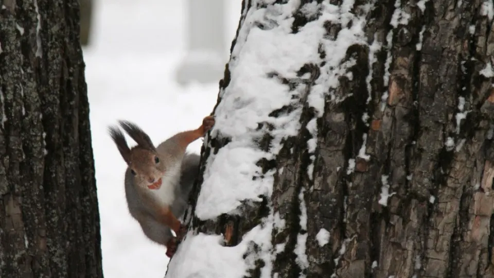 Фото: REGIONS/Наталья Дорофеева