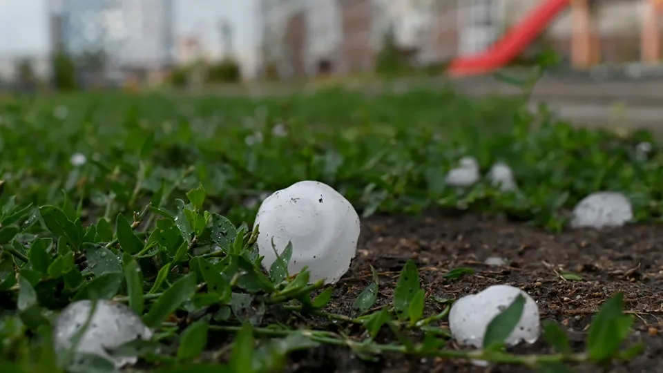 Фото: РИА Новости/Алексей Мальгавко