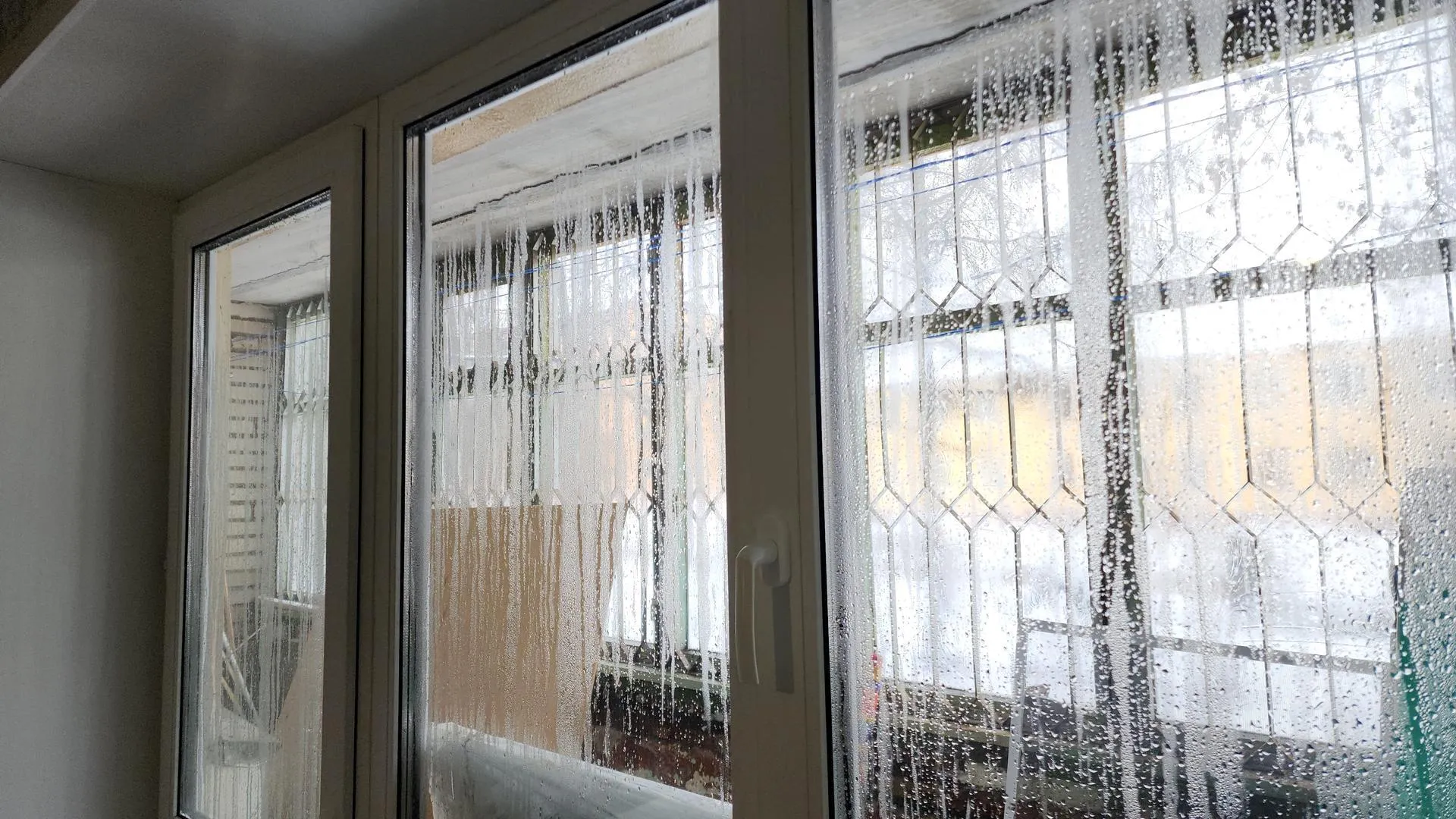 Фото: Надежда Егорова