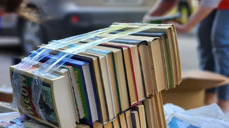 Фото: Медиабанк Подмосковья/Светлана Плотникова