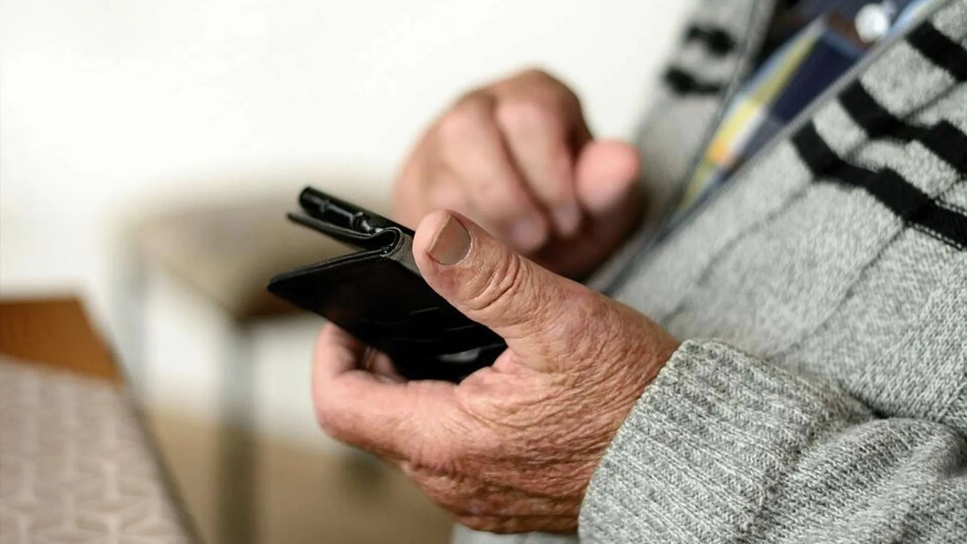 Фото: freepik.com