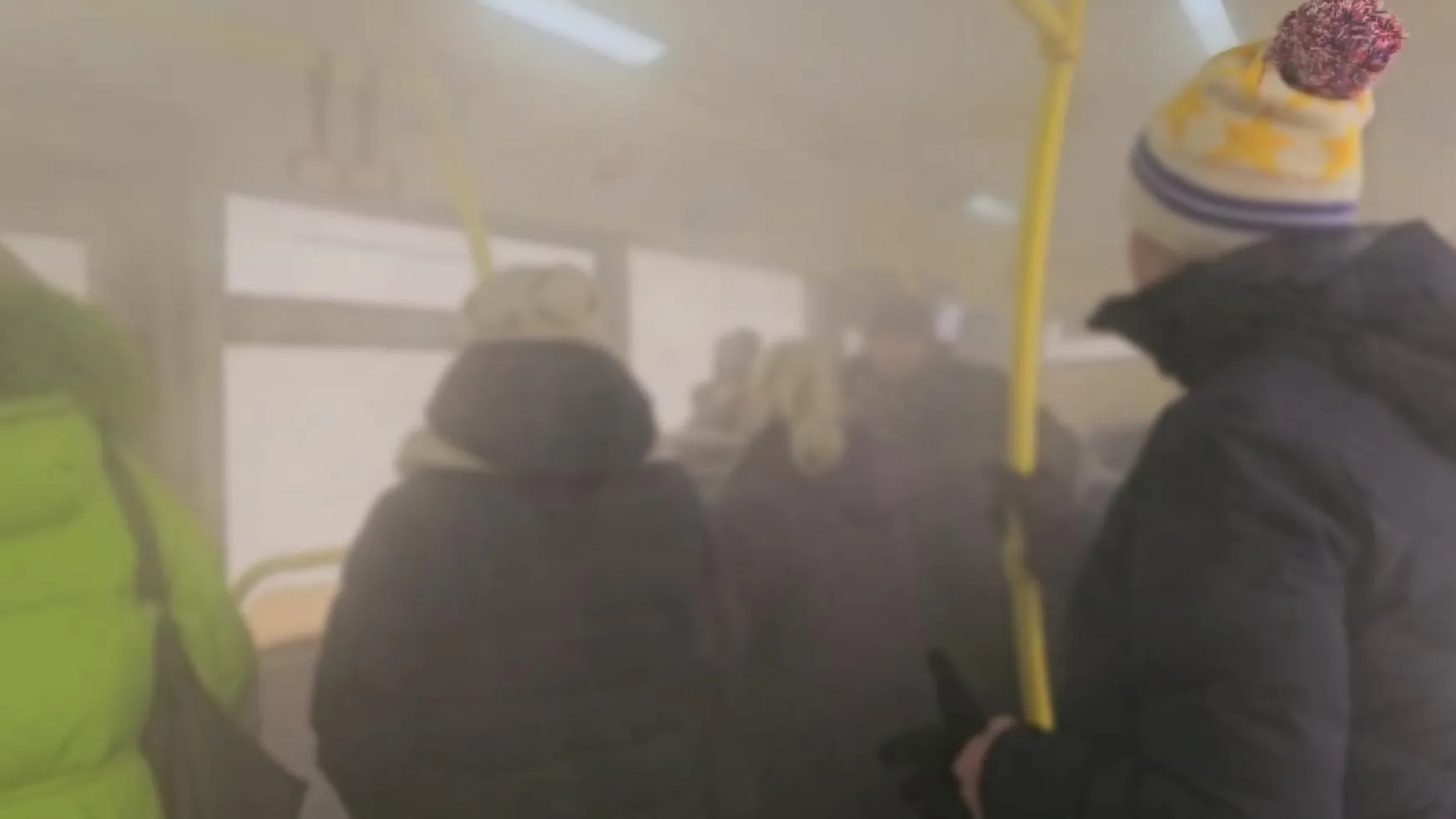 фото: соцсети