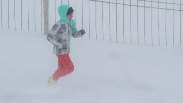«Желтый» уровень опасности объявили в столичном регионе из-за метели