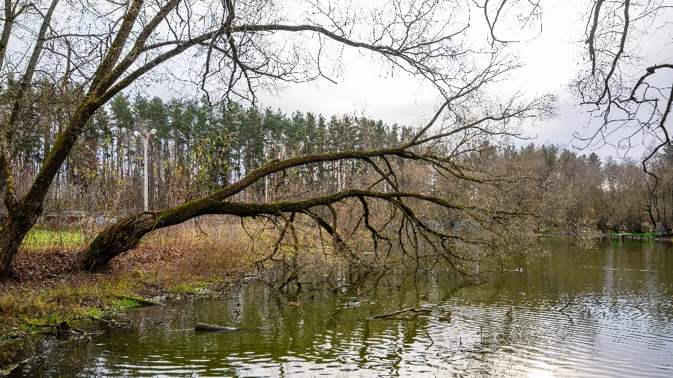 Фото: медиасток.рф