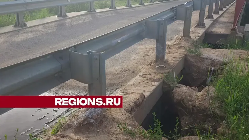 Фото: Светлана Борщева