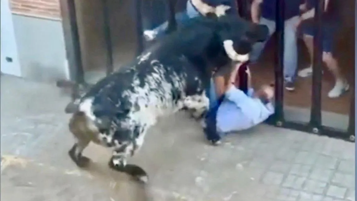 фото: телеграм-канал SHOT