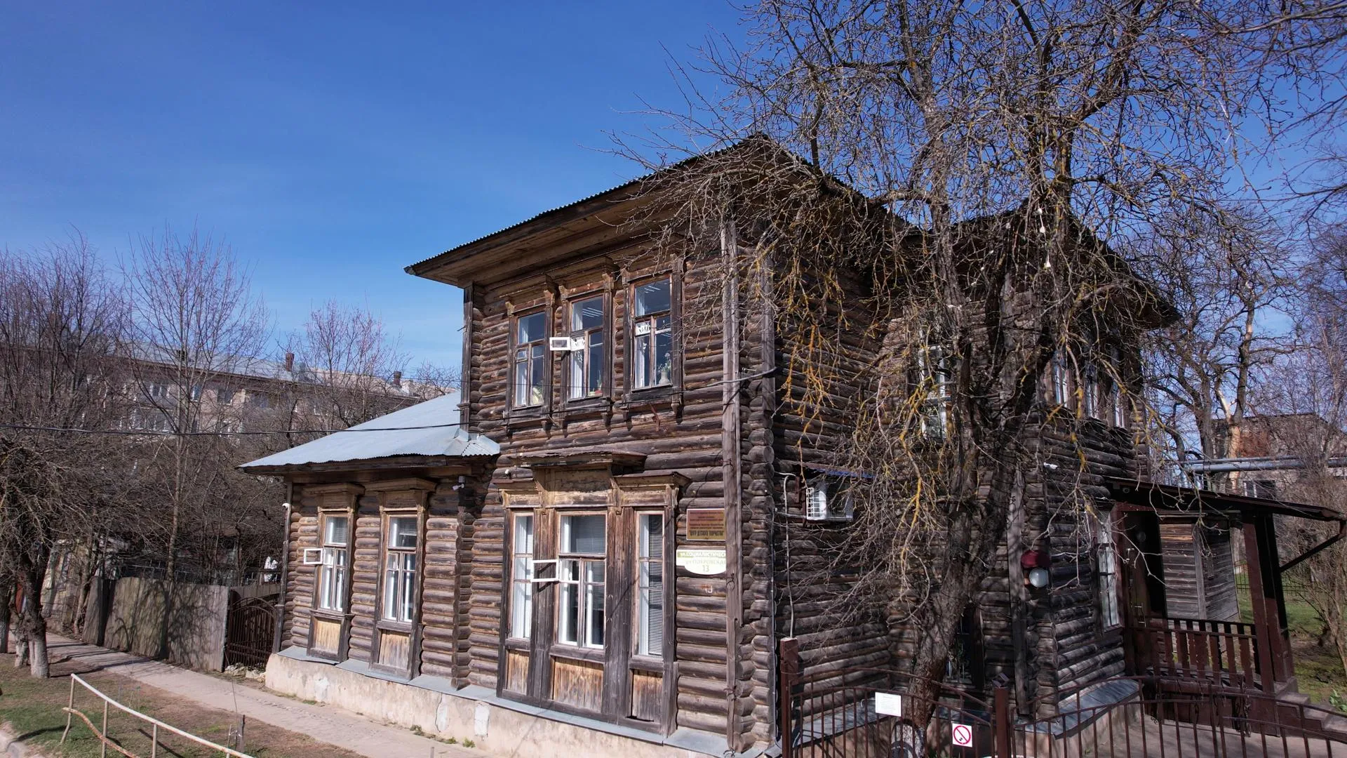 Ксения Борцова