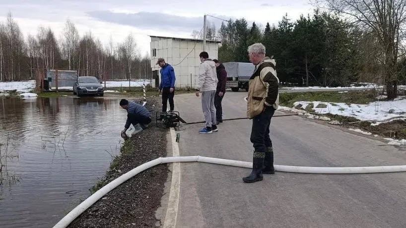 Картинка