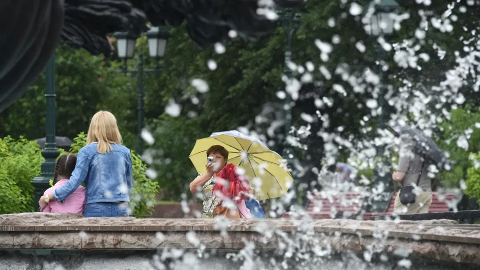 Фото: медиасток.рф