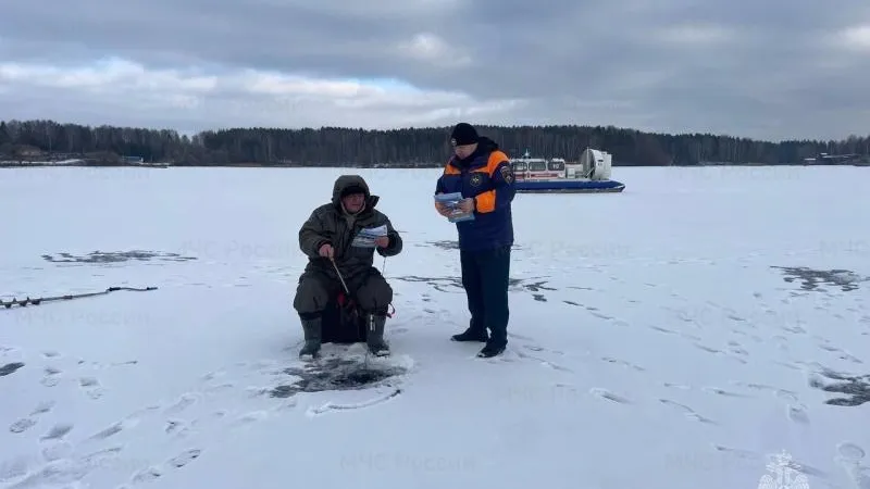 Фото: пресс-служба ГУ МЧС России по МО