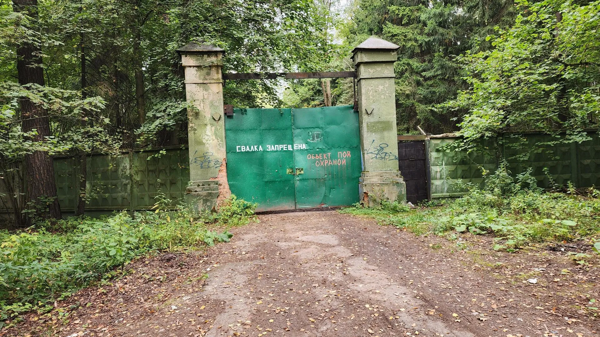 Фото: Роман Яковлев