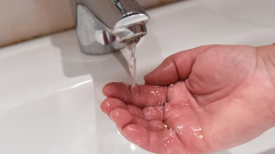 Фото: медиасток.рф