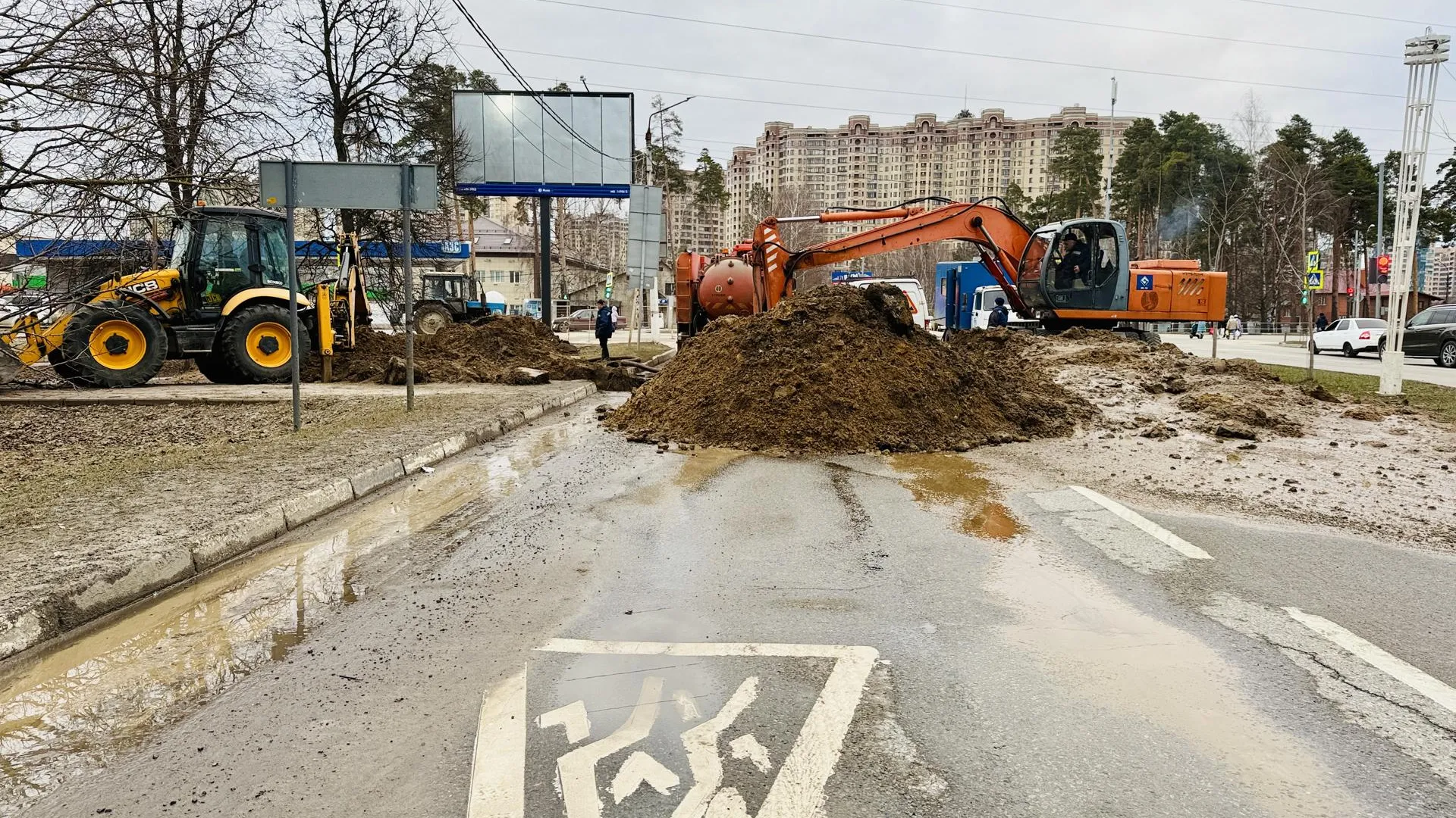 Фото: Ольга Стаферова