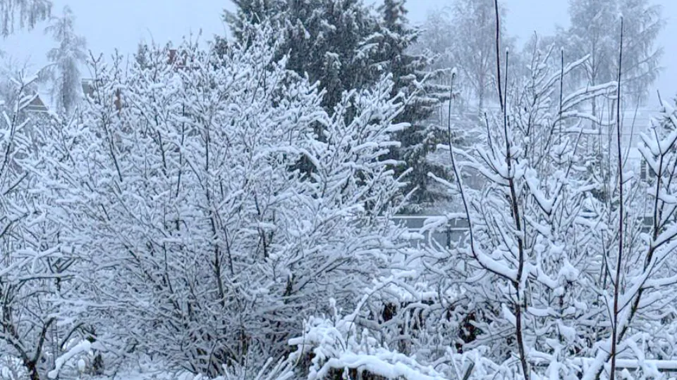 Фото: пресс-служба администрации Сергиево-Посадского округа
